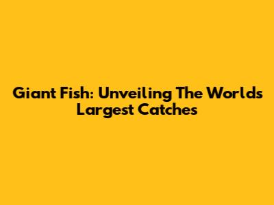 Giant Fish: Unveiling The World's Largest Catches
