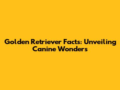 Golden Retriever Facts: Unveiling Canine Wonders