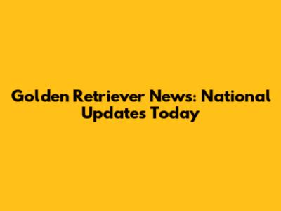 Golden Retriever News: National Updates Today