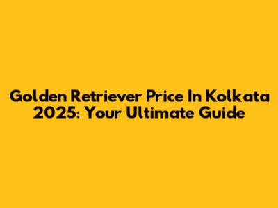 Golden Retriever Price In Kolkata 2025: Your Ultimate Guide