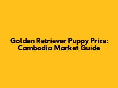 Golden Retriever Puppy Price: Cambodia Market Guide