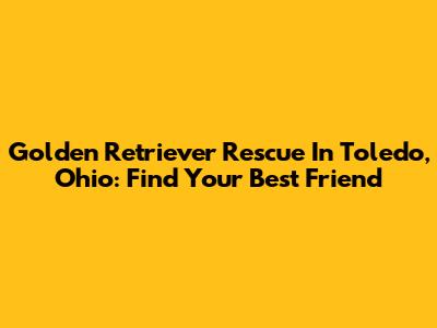 Golden Retriever Rescue In Toledo, Ohio: Find Your Best Friend