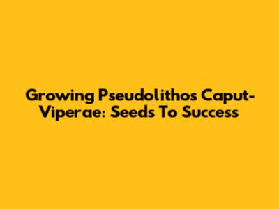 Growing Pseudolithos Caput-Viperae: Seeds To Success