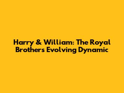 Harry & William: The Royal Brothers' Evolving Dynamic