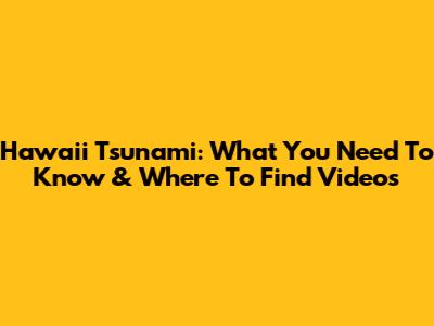 Hawaii Tsunami: What You Need To Know & Where To Find Videos