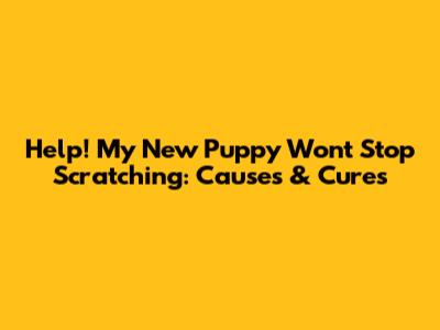 Help! My New Puppy Won't Stop Scratching: Causes & Cures