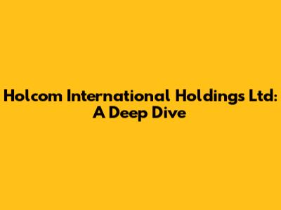 Holcom International Holdings Ltd: A Deep Dive