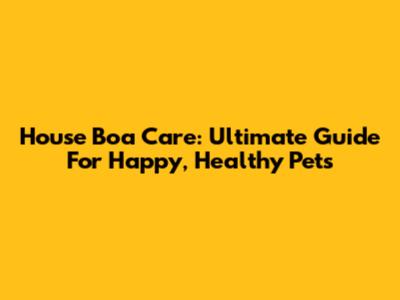House Boa Care: Ultimate Guide For Happy, Healthy Pets