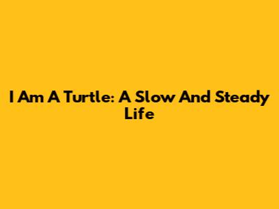 I Am A Turtle: A Slow And Steady Life