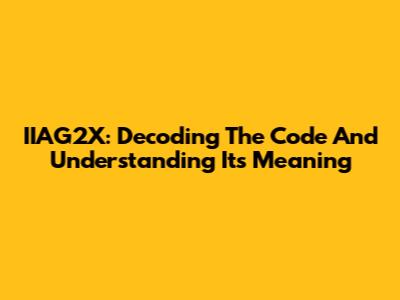IIAG2X: Decoding The Code And Understanding Its Meaning