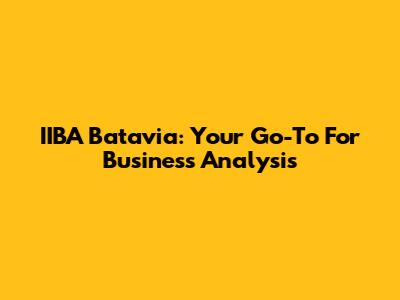 IIBA Batavia: Your Go-To For Business Analysis