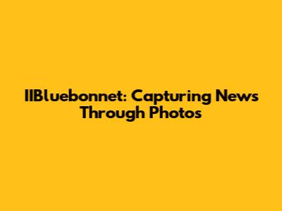 IIBluebonnet: Capturing News Through Photos