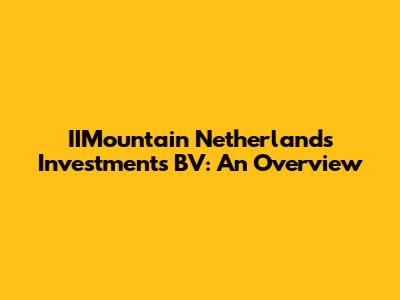 IIMountain Netherlands Investments BV: An Overview