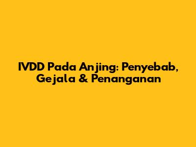 IVDD Pada Anjing: Penyebab, Gejala & Penanganan