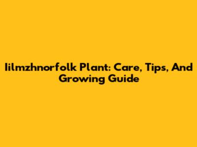 Iilmzhnorfolk Plant: Care, Tips, And Growing Guide