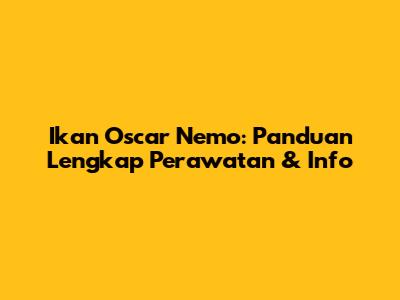 Ikan Oscar Nemo: Panduan Lengkap Perawatan & Info