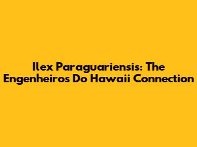 Ilex Paraguariensis: The Engenheiros Do Hawaii Connection