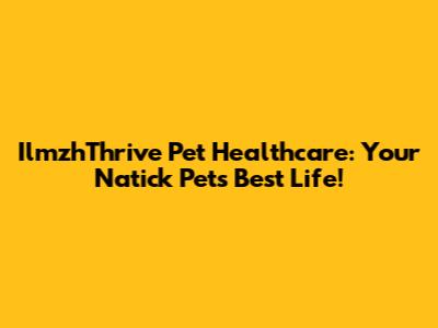 IlmzhThrive Pet Healthcare: Your Natick Pet's Best Life!