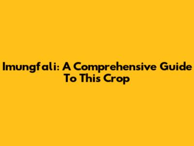 Imungfali: A Comprehensive Guide To This Crop