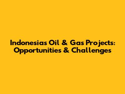 Indonesia's Oil & Gas Projects: Opportunities & Challenges