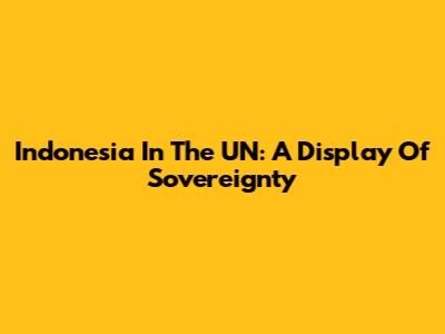 Indonesia In The UN: A Display Of Sovereignty