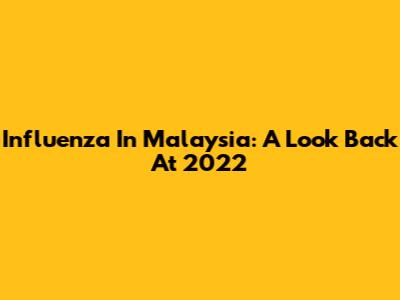 Influenza In Malaysia: A Look Back At 2022