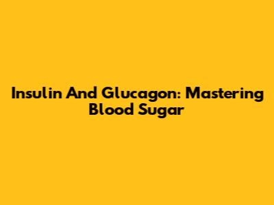 Insulin And Glucagon: Mastering Blood Sugar