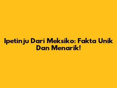 Ipetinju Dari Meksiko: Fakta Unik Dan Menarik!