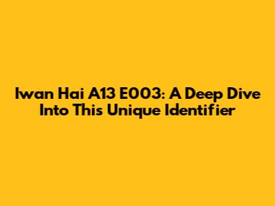 Iwan Hai A13 E003: A Deep Dive Into This Unique Identifier