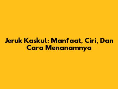 Jeruk Kaskul: Manfaat, Ciri, Dan Cara Menanamnya