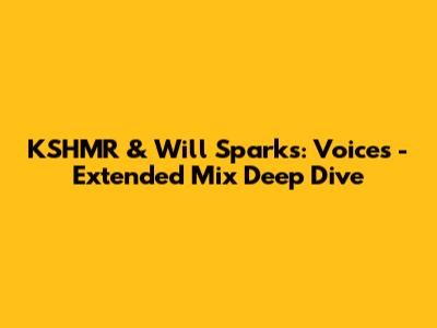 KSHMR & Will Sparks: Voices - Extended Mix Deep Dive