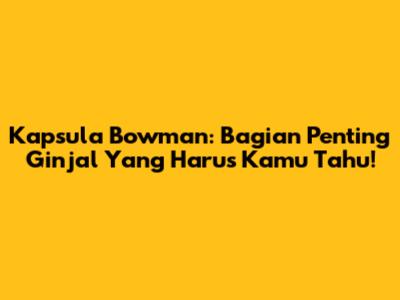 Kapsula Bowman: Bagian Penting Ginjal Yang Harus Kamu Tahu!