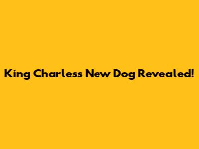 King Charles's New Dog Revealed!