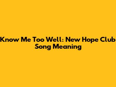 Know Me Too Well: New Hope Club Song Meaning