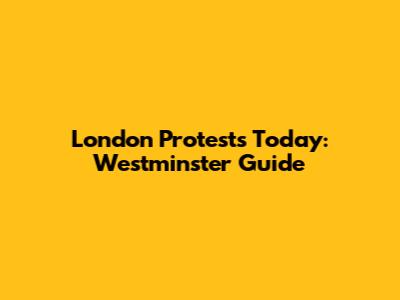 London Protests Today: Westminster Guide