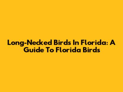 Long-Necked Birds In Florida: A Guide To Florida Birds