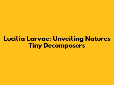 Lucilia Larvae: Unveiling Nature's Tiny Decomposers