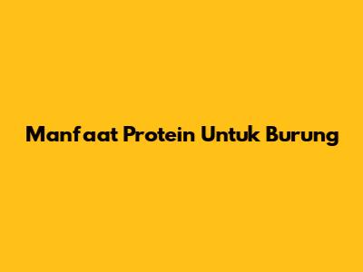 Manfaat Protein Untuk Burung