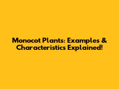 Monocot Plants: Examples & Characteristics Explained!