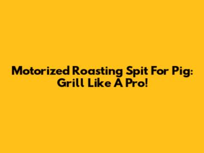 Motorized Roasting Spit For Pig: Grill Like A Pro!