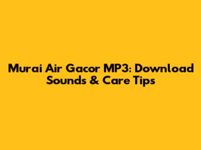 Murai Air Gacor MP3: Download Sounds & Care Tips
