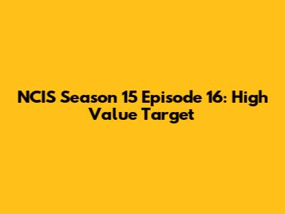 NCIS Season 15 Episode 16: High Value Target
