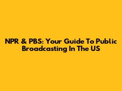 NPR & PBS: Your Guide To Public Broadcasting In The US