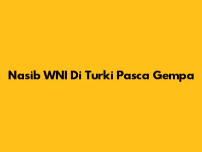 Nasib WNI Di Turki Pasca Gempa