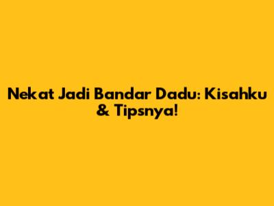 Nekat Jadi Bandar Dadu: Kisahku & Tipsnya!
