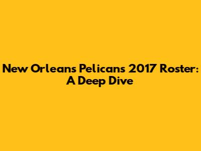 New Orleans Pelicans 2017 Roster: A Deep Dive