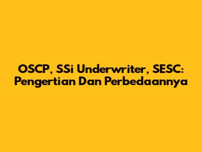 OSCP, SSi Underwriter, SESC: Pengertian Dan Perbedaannya