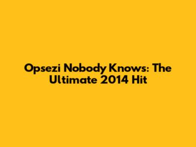 Opsezi Nobody Knows: The Ultimate 2014 Hit