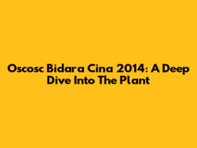 Oscosc Bidara Cina 2014: A Deep Dive Into The Plant