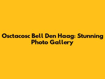 Osctacosc Bell Den Haag: Stunning Photo Gallery